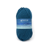 Plymouth Yarns Encore Chunky - 598 - Dark Wedgewood 843273004937 | Yarn at Michigan Fine Yarns