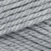 Plymouth Yarns Encore Chunky - 6007 - Light Grey 843273049686 | Yarn at Michigan Fine Yarns