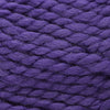 Plymouth Yarns Encore Mega - 1606 - Royal Purple 843273043400 | Yarn at Michigan Fine Yarns
