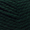 Plymouth Yarns Encore Mega - 204 - Forest Green 843273053591 | Yarn at Michigan Fine Yarns