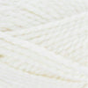 Plymouth Yarns Encore Mega - 208 - White 843273028452 | Yarn at Michigan Fine Yarns