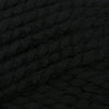 Plymouth Yarns Encore Mega - 217 - Black 843273000823 | Yarn at Michigan Fine Yarns