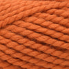 Plymouth Yarns Encore Mega - 691 - Orange 843273037300 | Yarn at Michigan Fine Yarns