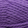 Plymouth Yarns Encore Mega - 867 - Deep Lavender 843273053607 | Yarn at Michigan Fine Yarns