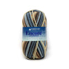 Plymouth Yarns Encore Worsted Colorspun - 7653 - Denim 0843273031438 | Yarn at Michigan Fine Yarns