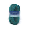 Plymouth Yarns Encore Worsted Colorspun - 7765 - Turquoise 843273038673 | Yarn at Michigan Fine Yarns