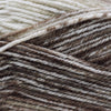 Plymouth Yarns Encore Worsted Colorspun - 7801 - Tans Mix | Yarn at Michigan Fine Yarns