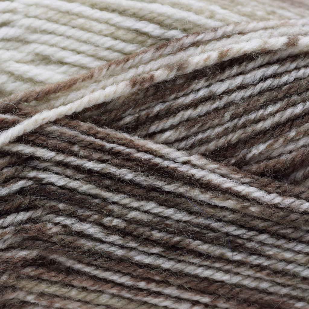 Plymouth Yarns Encore Worsted Colorspun - 7801 - Tans Mix | Yarn at Michigan Fine Yarns
