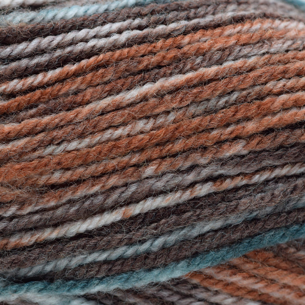 Plymouth Yarns Encore Worsted Colorspun - 7803 - Autumn Mix | Yarn at Michigan Fine Yarns