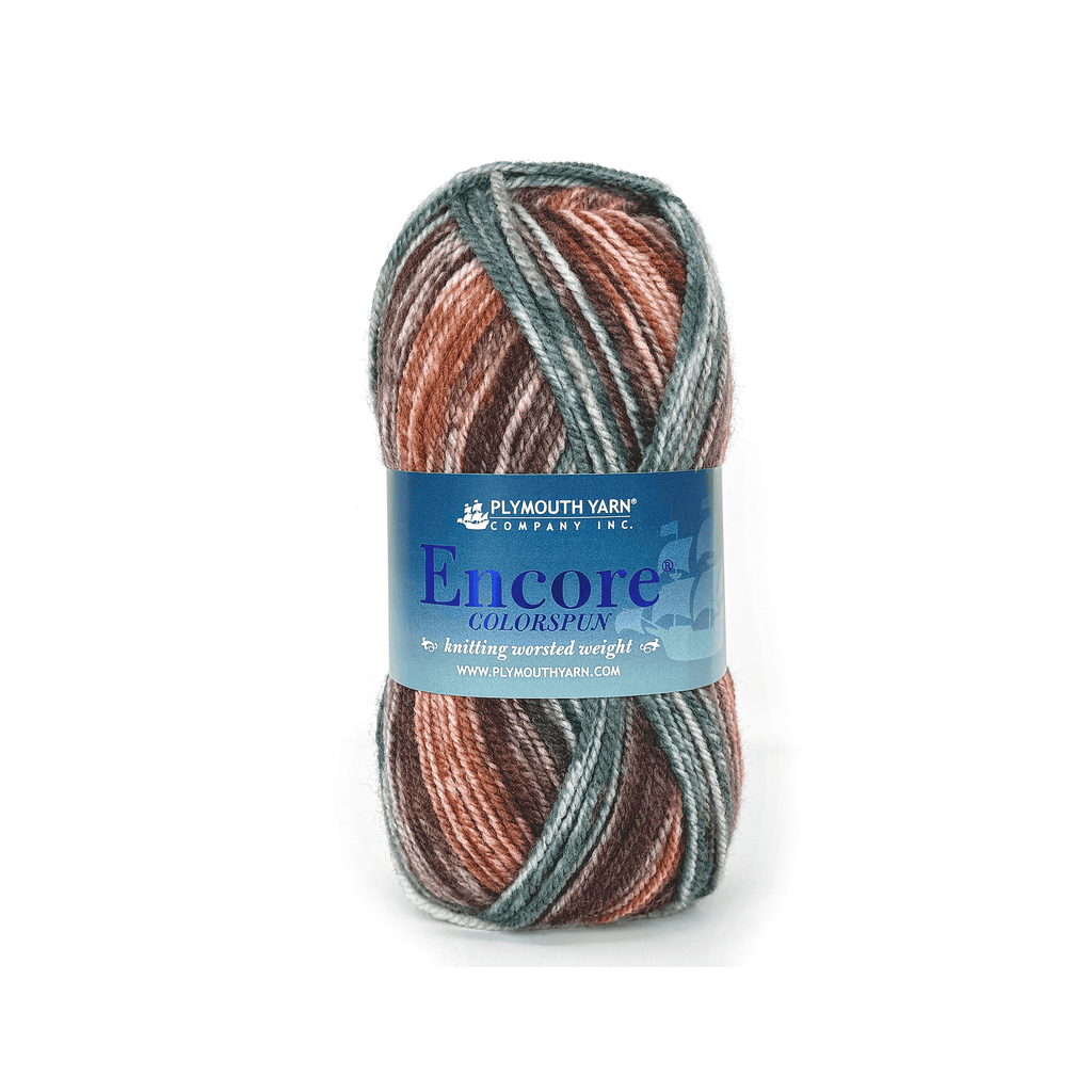 Plymouth Yarns Encore Worsted Colorspun - 7803 - Autumn Mix 843273058091 | Yarn at Michigan Fine Yarns