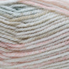 Plymouth Yarns Encore Worsted Colorspun - 7806 - Fairy Tale Mix | Yarn at Michigan Fine Yarns