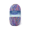 Plymouth Yarns Encore Worsted Colorspun - 8004 - Rainbow 843273049648 | Yarn at Michigan Fine Yarns