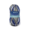 Plymouth Yarns Encore Worsted Colorspun - 8121 - Blue Jeans 843273047590 | Yarn at Michigan Fine Yarns