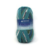 Plymouth Yarns Encore Worsted Colorspun - 8126 - Blue Teal Mix 843273047613 | Yarn at Michigan Fine Yarns