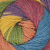 Plymouth Yarns Hot Cakes - 1 - Autumn Mix 03548970 | Yarn at Michigan Fine Yarns
