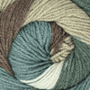 Plymouth Yarns Hot Cakes - 16 - Wood Sage 843273056523 | Yarn at Michigan Fine Yarns