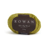 Rowan BIG Big Wool - 215 - Carnival | Yarn at Michigan Fine Yarns