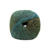 Rowan Felted Tweed Colour by Kaffe Fassett - 27 - Succulent 93116458 | Yarn at Michigan Fine Yarns