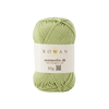 Rowan Summerlite DK - 463 - Pear 4053859145039 | Yarn at Michigan Fine Yarns