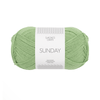 Sandnes Garn Sunday - 8733 - Spring Green  | Yarn at Michigan Fine Yarns