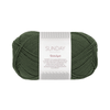 Sandnes Garn Sunday - 9581 - Pine (PetiteKnit Color Palette)  | Yarn at Michigan Fine Yarns