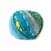 Schoppel Wolle Life Style - 2205 - Spring Cleaning 4250331324207 | Yarn at Michigan Fine Yarns