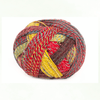 Schoppel Wolle Zauberball Stärke 6 - 2429 - Change of Scenery | Yarn at Michigan Fine Yarns