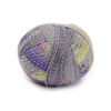 Schoppel Wolle Zauberball Stärke 6 - 2514 - Privy Council | Yarn at Michigan Fine Yarns