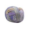 Schoppel Wolle Zauberball Starke 6 Sock - 2514 | Yarn at Michigan Fine Yarns