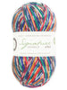 West Yorkshire Spinners Signature 4 - ply - 1166 - Nutcracker (Sparkle) 5053682004205 | Yarn at Michigan Fine Yarns