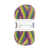 West Yorkshire Spinners Signature 4-ply -872 - Wild Flower 5053682068726 | Yarn at Michigan Fine Yarns