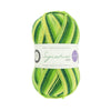West Yorkshire Spinners Signature 4-ply -882 - Spring Green 5053682068825 | Yarn at Michigan Fine Yarns