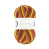 West Yorkshire Spinners Signature 4-ply -885 - Autumn Leaves 5053682068856 | Yarn at Michigan Fine Yarns