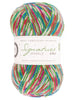 West Yorkshire Spinners Signature 4 - ply - 905 - Fairy Lights (Sparkle) 5053682069051 | Yarn at Michigan Fine Yarns