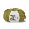 Wool And The Gang Alpachino Merino - Field Green 5056341321620 | Yarn at Michigan Fine Yarns