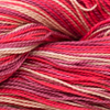 Plymouth Yarns Anne at Michigan Fine Yarns