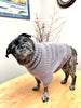 Michigan Fine Yarns Knit Your Dog a Sweater Workshop -Thursday | January 26th | 6-8pm | Class at Michigan Fine Yarns