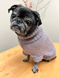 Knit Your Pet a Sweater Workshop