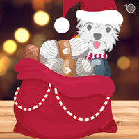 Michigan Fine Yarns Santa's Mystery Stash -A - 5lb 100% Acrylic | Kits at Michigan Fine Yarns