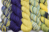 Michigan Fine Yarns TL Yarn Crafts x MFY Tunisian Crochet Experience -Kit 14 Full Experience | Kits at Michigan Fine Yarns