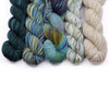 Michigan Fine Yarns TL Yarn Crafts x MFY Tunisian Crochet Experience -Kit 8 Full Experience | Kits at Michigan Fine Yarns
