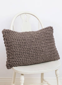 Blue Sky Fibers Park Rapids Pillow Cover - 63968810 | Patterns at Michigan Fine Yarns