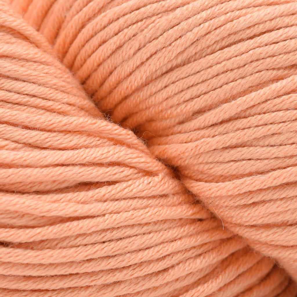 Berroco Modern Cotton -1696 - RISD | Yarn at Michigan Fine Yarns
