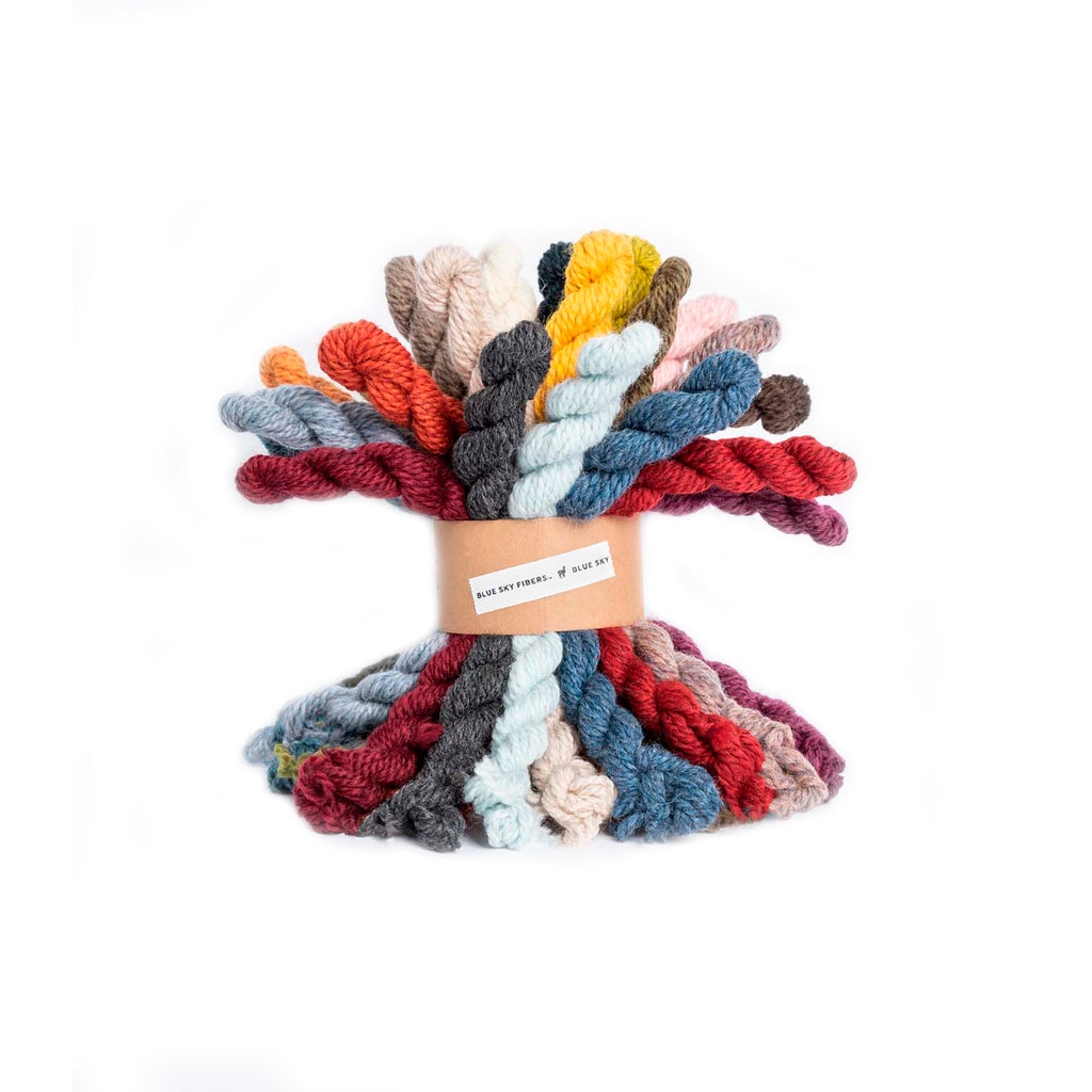 Blue Sky Fibers 27 Color Woolstok Mini Bundle Yarn - Michigan Fine Yarns