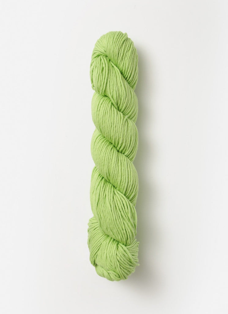 Blue Sky Fibers Organic Cotton Skinny -303 - Sprout 14734890 | Yarn at Michigan Fine Yarns
