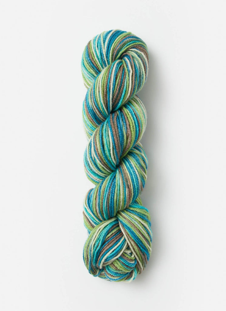 Blue Sky Fibers Stripey Fine -7861 - Mint Chip 50161194 | Yarn at Michigan Fine Yarns
