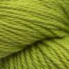 Blue Sky Fibers Sweater -7502 - Grass 51252522 | Yarn at Michigan Fine Yarns