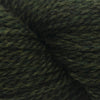 Blue Sky Fibers Woolstok 150 -1306 - Wild Thyme 16459306 | Yarn at Michigan Fine Yarns