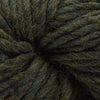 Blue Sky Fibers Woolstok North -4306 - Wild Thyme | Yarn at Michigan Fine Yarns