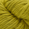 Blue Sky Fibers Woolstok North -4308 - Golden Meadow | Yarn at Michigan Fine Yarns